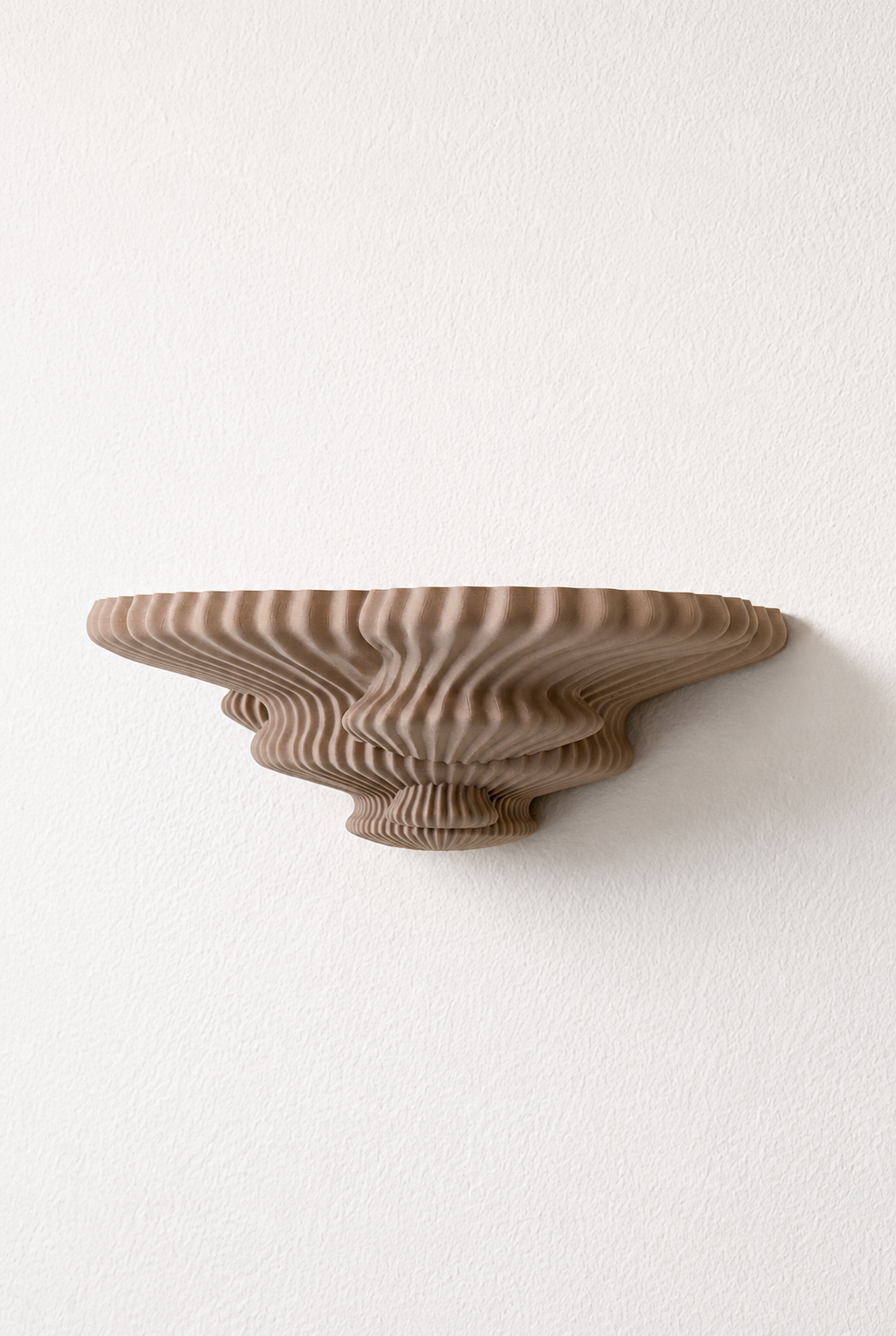 Tinder Fungus Shelf