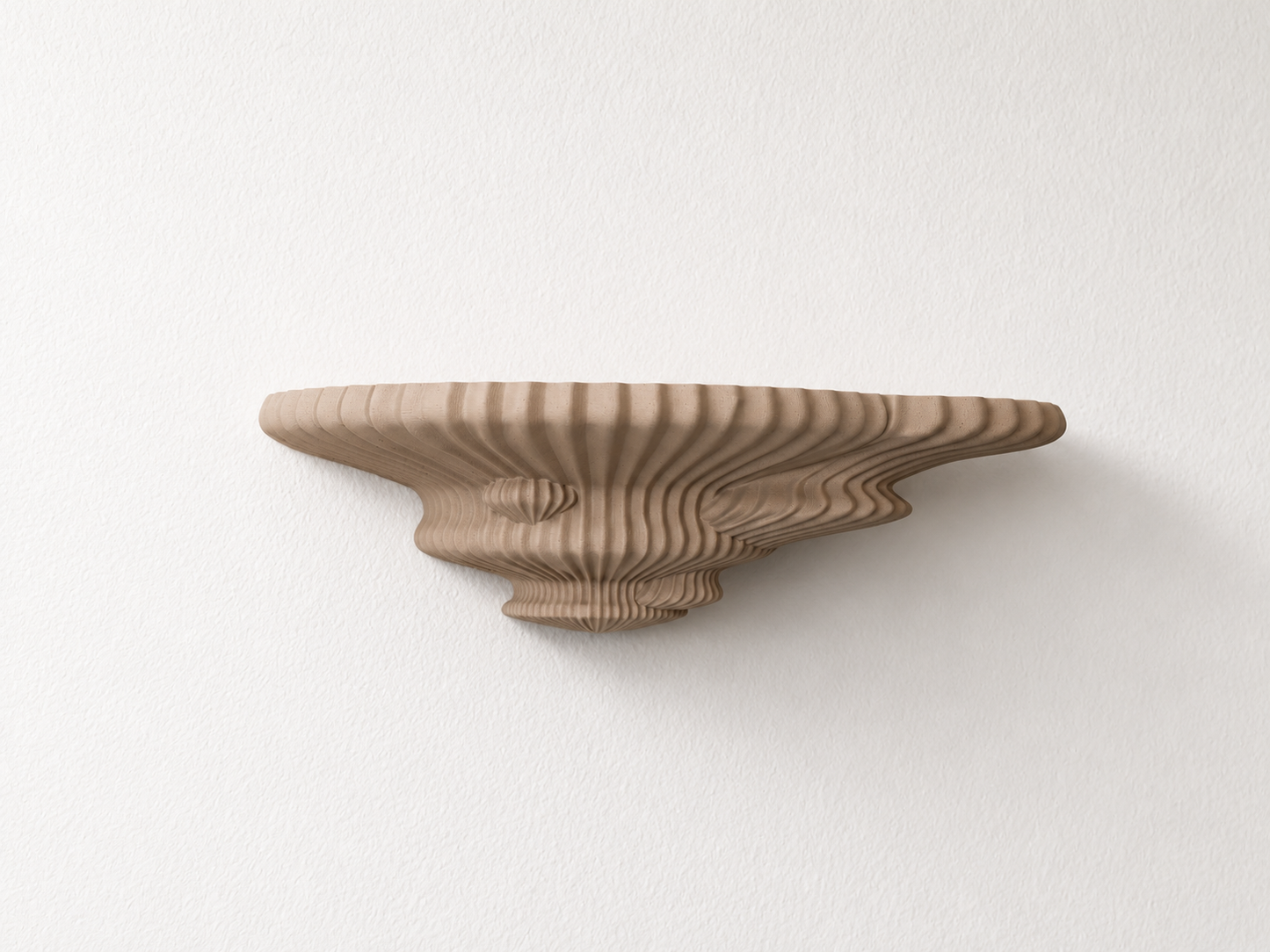Tinder Fungus Shelf
