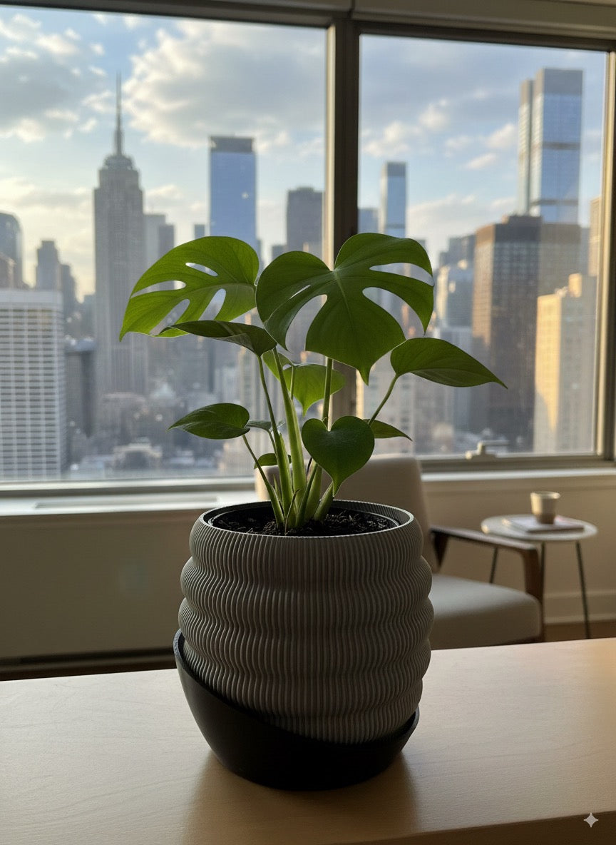 Hive Planter & Saucer