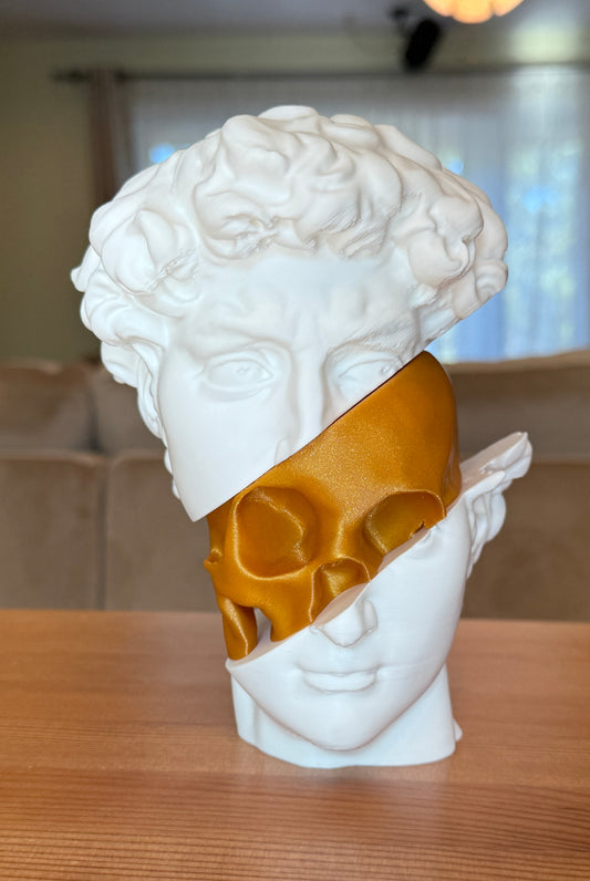 Insight Unveiled: Anatomy of a Masterpiece