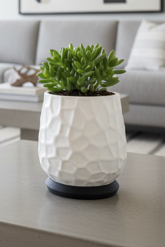 Nido planter and matching saucer with modern sculptural design