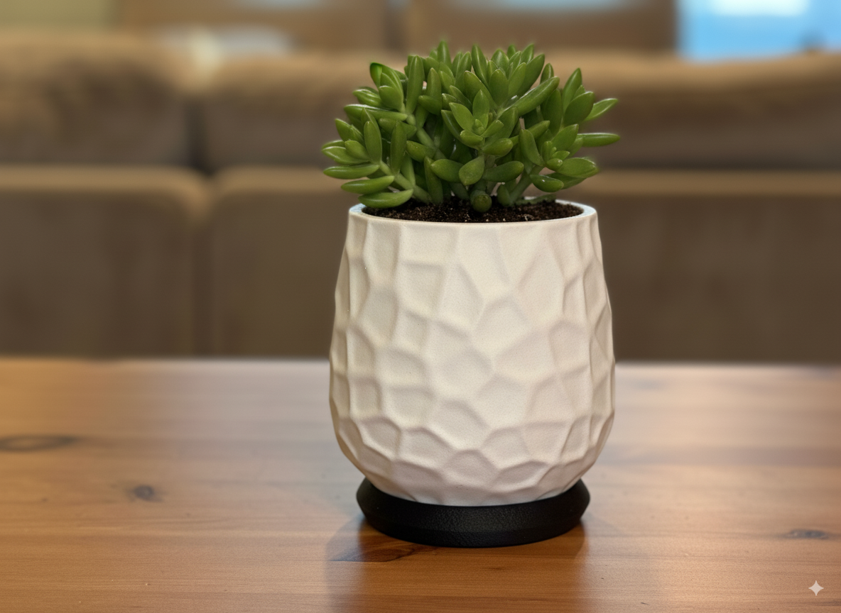 Nido planter and saucer showcasing minimalist contemporary plant décor