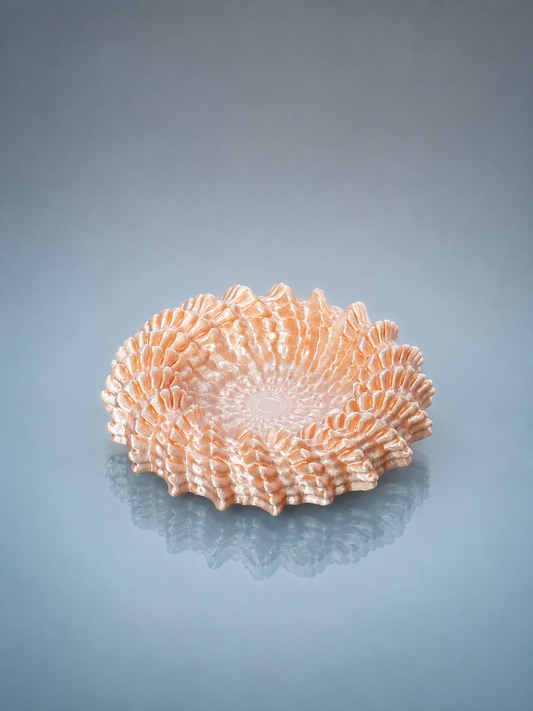 Small Bowl